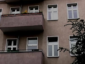 Double Anal Impact!!! - vol. #5 (Full Movie)